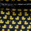 Рюкзак Rolltop medium Duck (С утками)